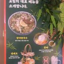 당동 주공2-1 | 당동 맛집 포림앤베비스｜반세오·새고파마라볶음밥 솔직 후기