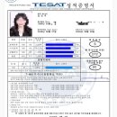 공부야놀자 | 해커스 TESAT(테셋) 인강 내돈내산 후기 :: 첫트에 S급 달성✌🏻