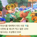 릴라 바바라 이미지