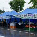 구미농협파머스마켓 티스토리