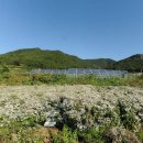 광석 태양광 발전소 이미지