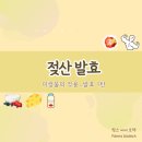 미생물의 작용_발효 1탄) 젖산발효