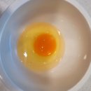 생담원농장 | 생담원 자연방사 유정란