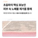 (주)웨이포인트 | 펄케어 트리플웨이 초음파 고주파 EMS LED 복합기 홈케어 뷰티 디바이스