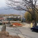 입석2구 Daum카페