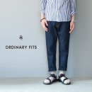 핏츠(FITS)