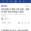 독감유행 속 폐렴 사망 급증…화장장 예약 못해 유족들 사일장 이미지