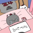 영철이네 이미지