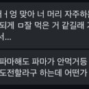 무잇(MUIT) 이미지
