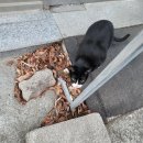 유달세탁소 | 일상 (23.01 ~ 23.02)