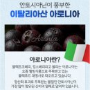 제이비유통 | 차바이오알부민 후기｜장모님 선물로 선택한 마시는 알부민