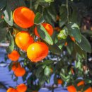 공이농장 이미지