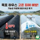 한일과학산업 호남센터 | [목포 하우스 고온 피해 예방] 기능성 차광제 효과 비교 후기: 검은 망을 넘어 과학적인 온도 관리로