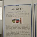설문칼국수