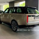 골드로버