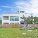 애견의 정원 이미지