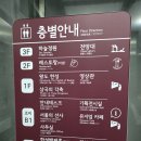 토성어린이공원 | 박물관 상설전시 중단으로 '을축년 대홍수가 알려준 풍납동 토성의 비밀' 특별전시 관람 후기 (주차 팁)