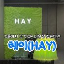 솔올중학교 | 강릉택지미용실 &#34;헤이(HAY)&#34;에서 디자인컷 받은 후기