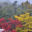 청풍호오토캠핑장 이미지