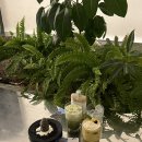 [홍대 카페]전시회 같은 감성 카페, 삼다코지 홍대 방문 후기 ☕🍃