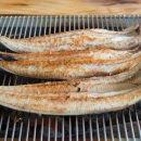 인생참치 이미지