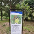 여주-1000 | [공지] 10월 한글날 나들이가기 좋은 세종대왕 무덤 여주 영릉 방문 정보