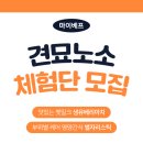 마이베프