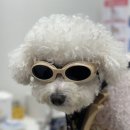 위런한방재활동물병원 이미지