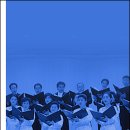 제61회 정기연주회 Daum카페