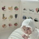터미타임 장난감 리틀라이프 마그넷 아기 병풍 후기