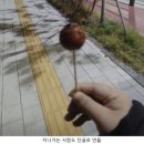타코야끼집 이미지