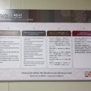 평창어울림펜션 | [강원도 정선/어울림펜션] 정선, 평창 계곡 앞 깔끔한 숙박 추천! 정선 어울림펜션