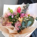 사파동179 이미지