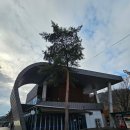 남성주참외(창원) | 남성주 참외 휴게소 창원방향 후기