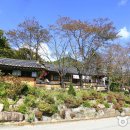 상주 Daum카페