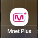 Mnet Puls 출석 🩵 이미지