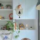 모노퍼피 이미지