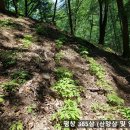 삼싹농장 이미지