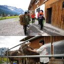 종현농장 이미지