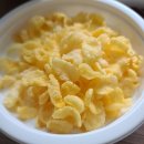 인디안밥 이미지