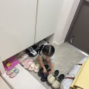 은유의 신발정리 이미지