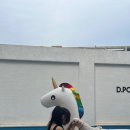 🐾 남해 애견동반 풀빌라 추천! 디풀빌라 여름휴가 다녀왔어요