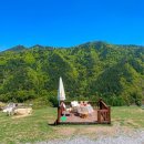 하당목장3 이미지