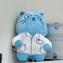 동탄원더스동물의료센터 | [동탄 동물병원] 강아지, 고양이 동물병원 추천 🐶🐱: 동탄원더스동물의료센터 위치, 가격, 진료시간...