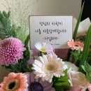 부천꽃집데이브앤스텔라플라워즈