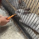 한우드림농장 이미지