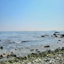 슬도아트 전시 [Secret Garden] | 지금 울산 슬도에 가면 볼 수 있는 풍경! 유채꽃 개화 상황과 주차 꿀팁