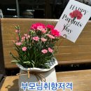 [본리동카네이션꽃집]파라다이스꽃배달에서 어버이날선물 찐 후기.