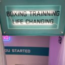 돌펀치복싱체육관 | 강남 복싱체육관 🥊 &lt;펀치박스 복싱&gt; 솔직 후기