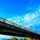 신둔천 2 이미지